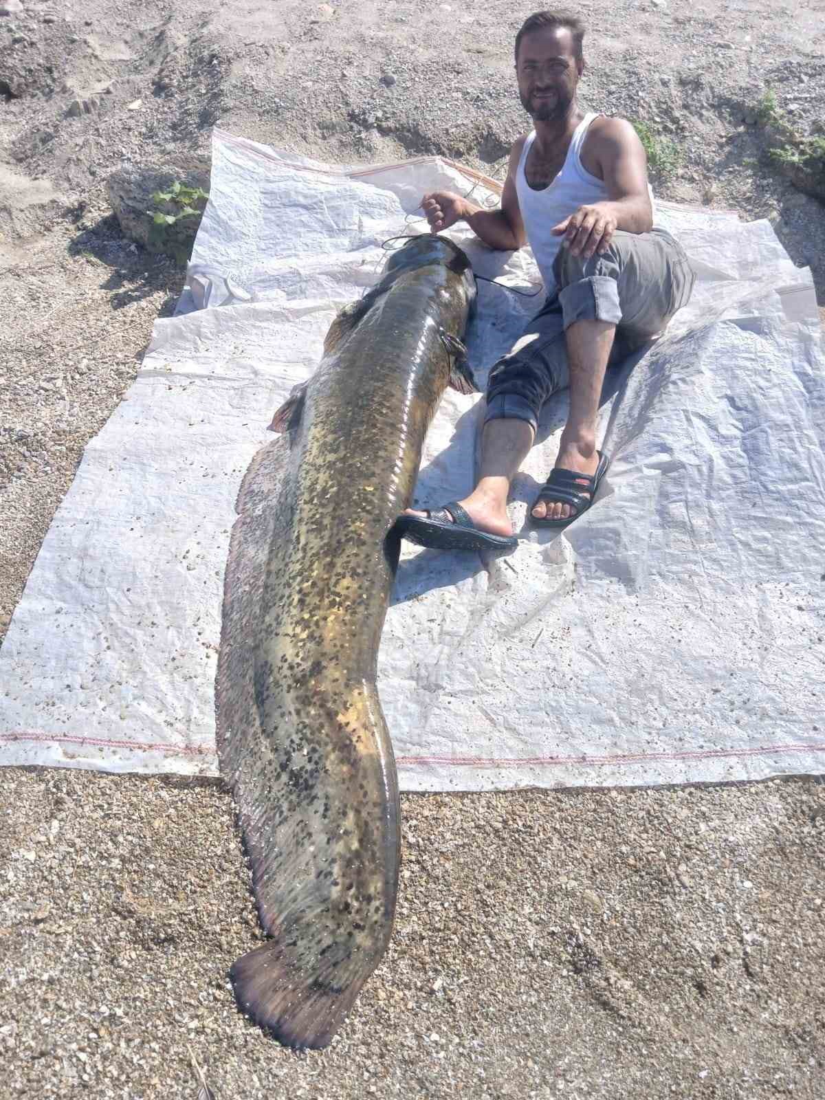 Manisa&rsquo;da oltayla 2 metrelik yayın balığı yakaladı
