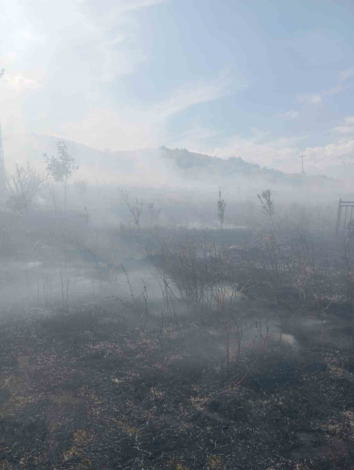 Bing&ouml;l&rsquo;de &ouml;rt&uuml; yangını
