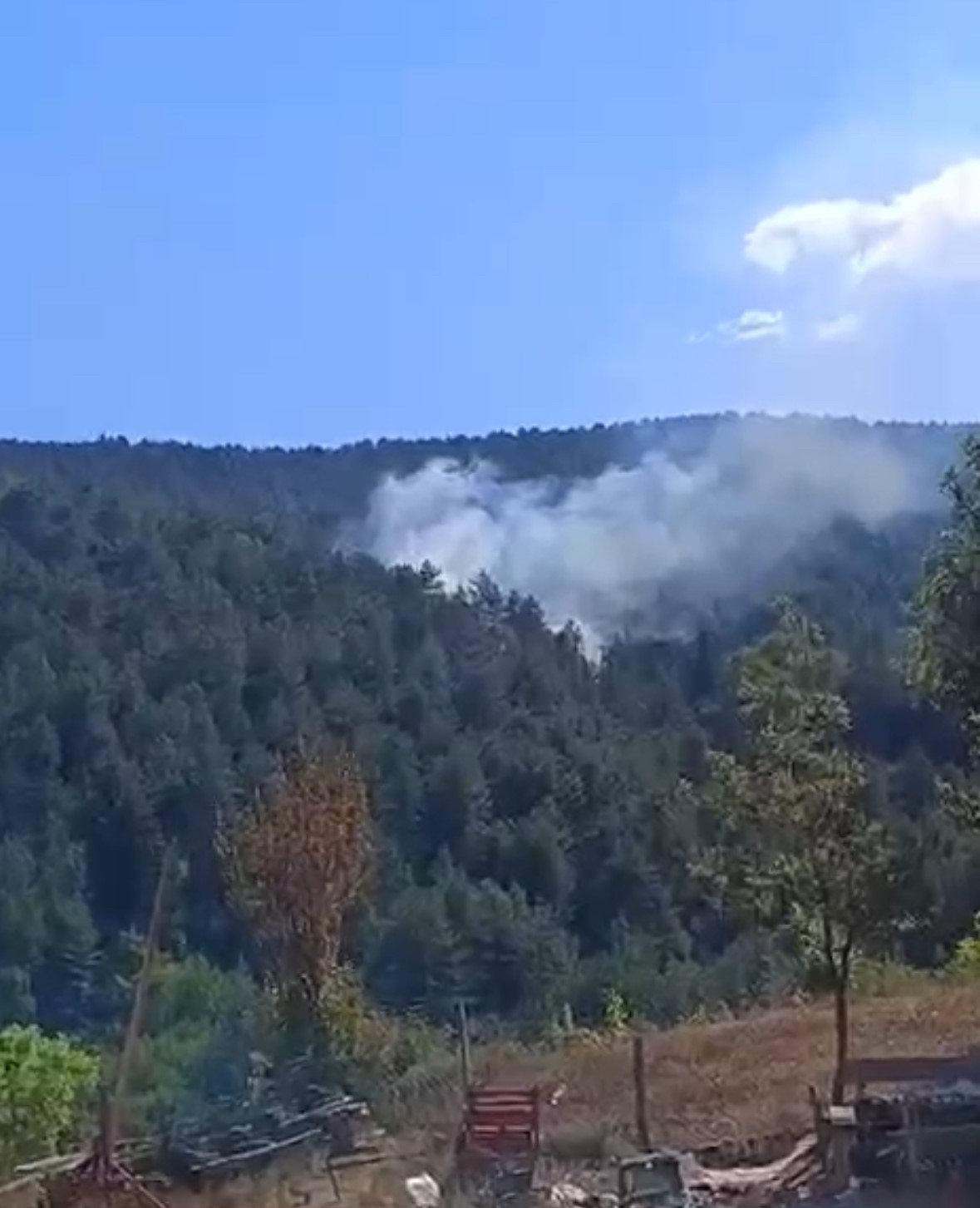 Bolu&rsquo;da &ccedil;ıkan orman yangını kısa s&uuml;rede s&ouml;nd&uuml;r&uuml;ld&uuml;
