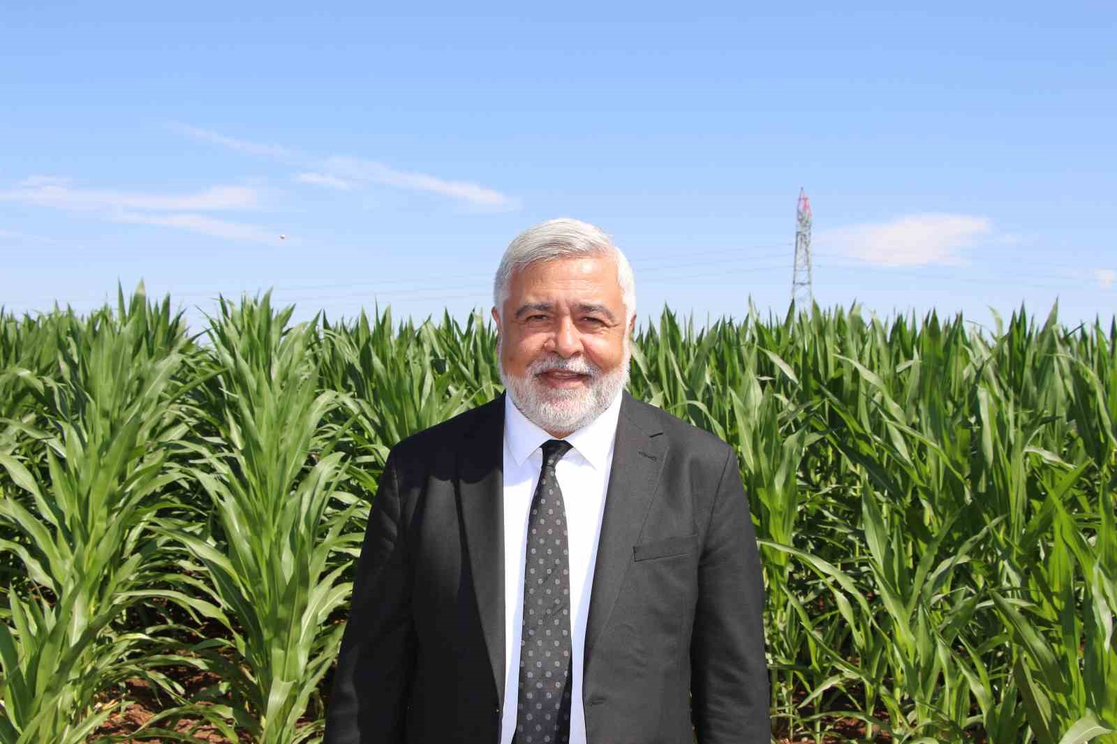 Dicle Elektrik Genel Müdürü Arvas: "Bölgede sorun elektrik değil, sulama"