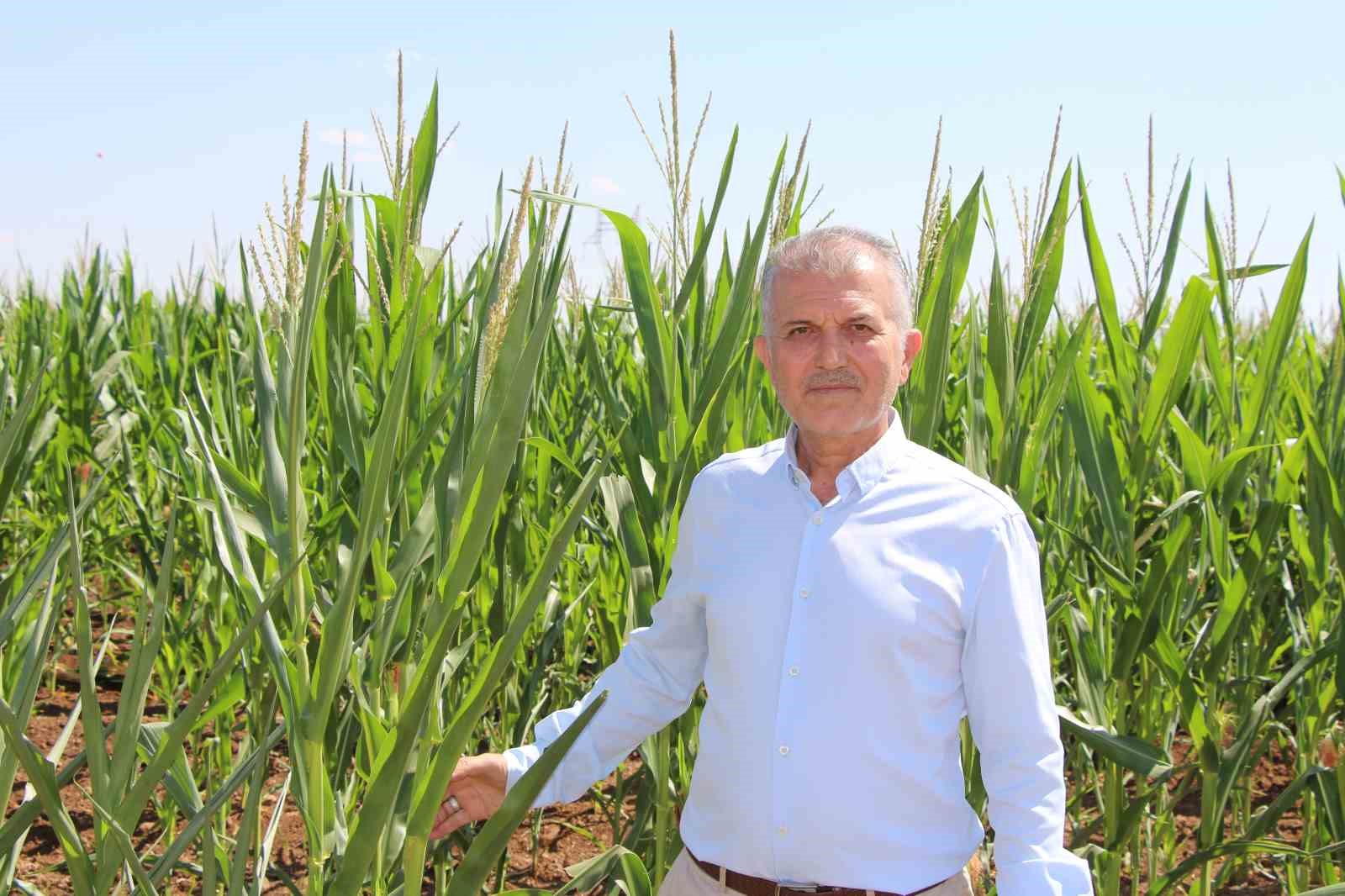 Dicle Elektrik Genel M&uuml;d&uuml;r&uuml; Arvas: "B&ouml;lgede sorun elektrik değil, sulama"
