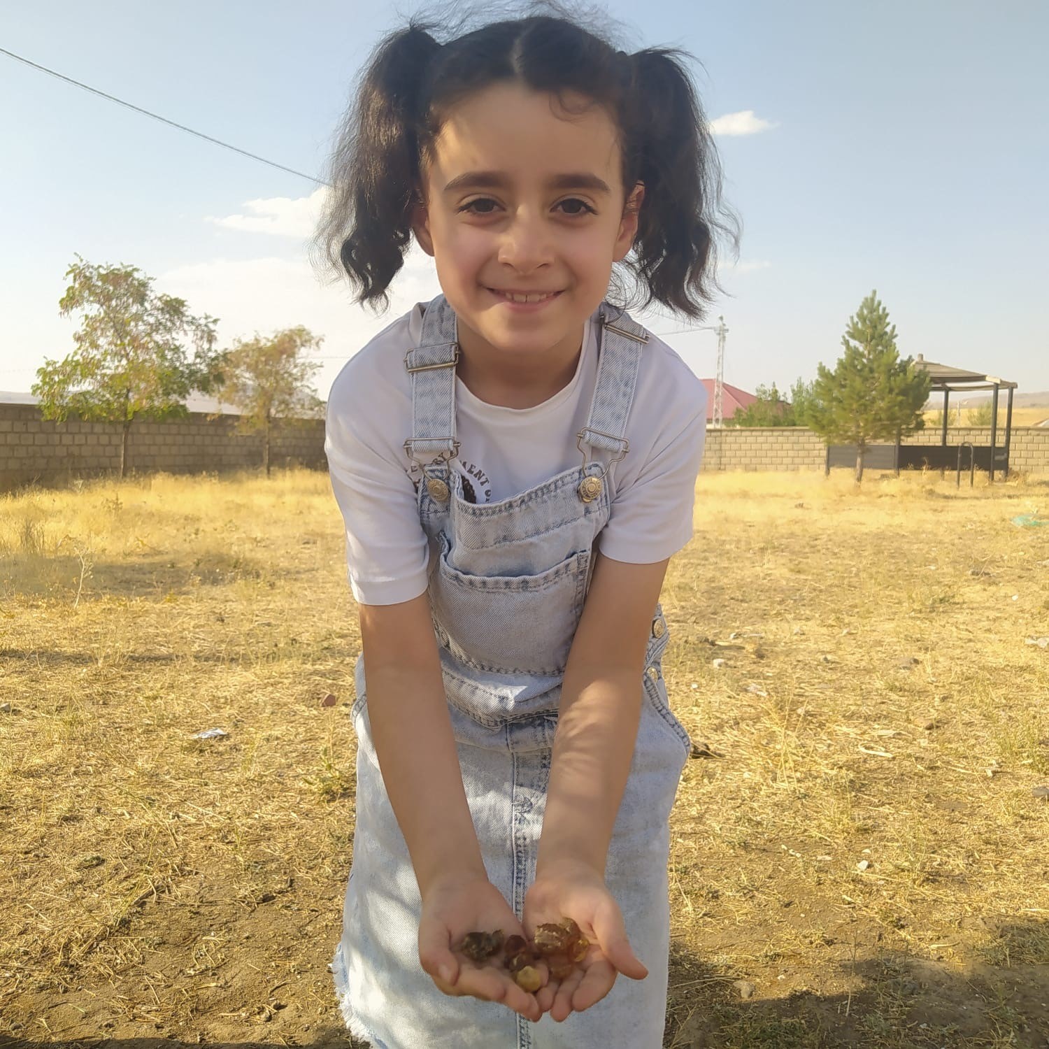 Patnos&rsquo;ta &ccedil;am sakızı şifa kaynağı oldu
