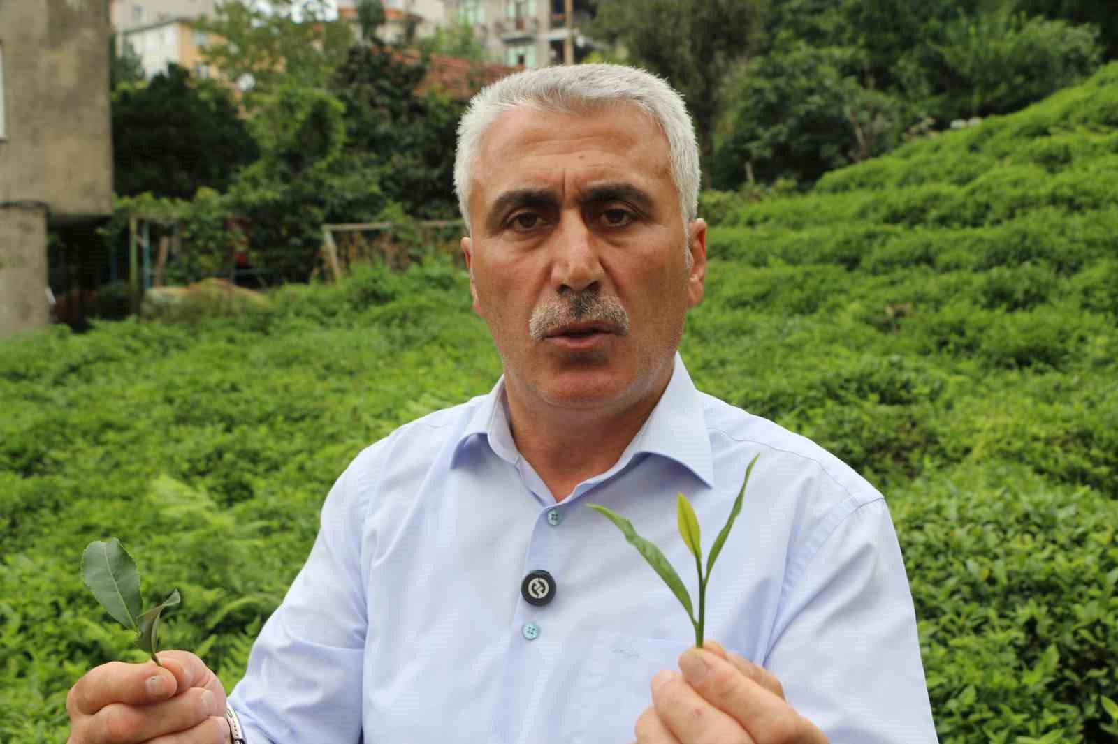 12 Eylül 1980 darbesinde çay makası bile yasaklanmış