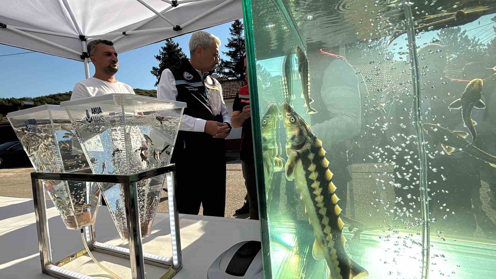 T&uuml;rkiye&rsquo;den d&uuml;nya sofralarına siyah havyar: "Gramı 1 eurodan satılıyor"
