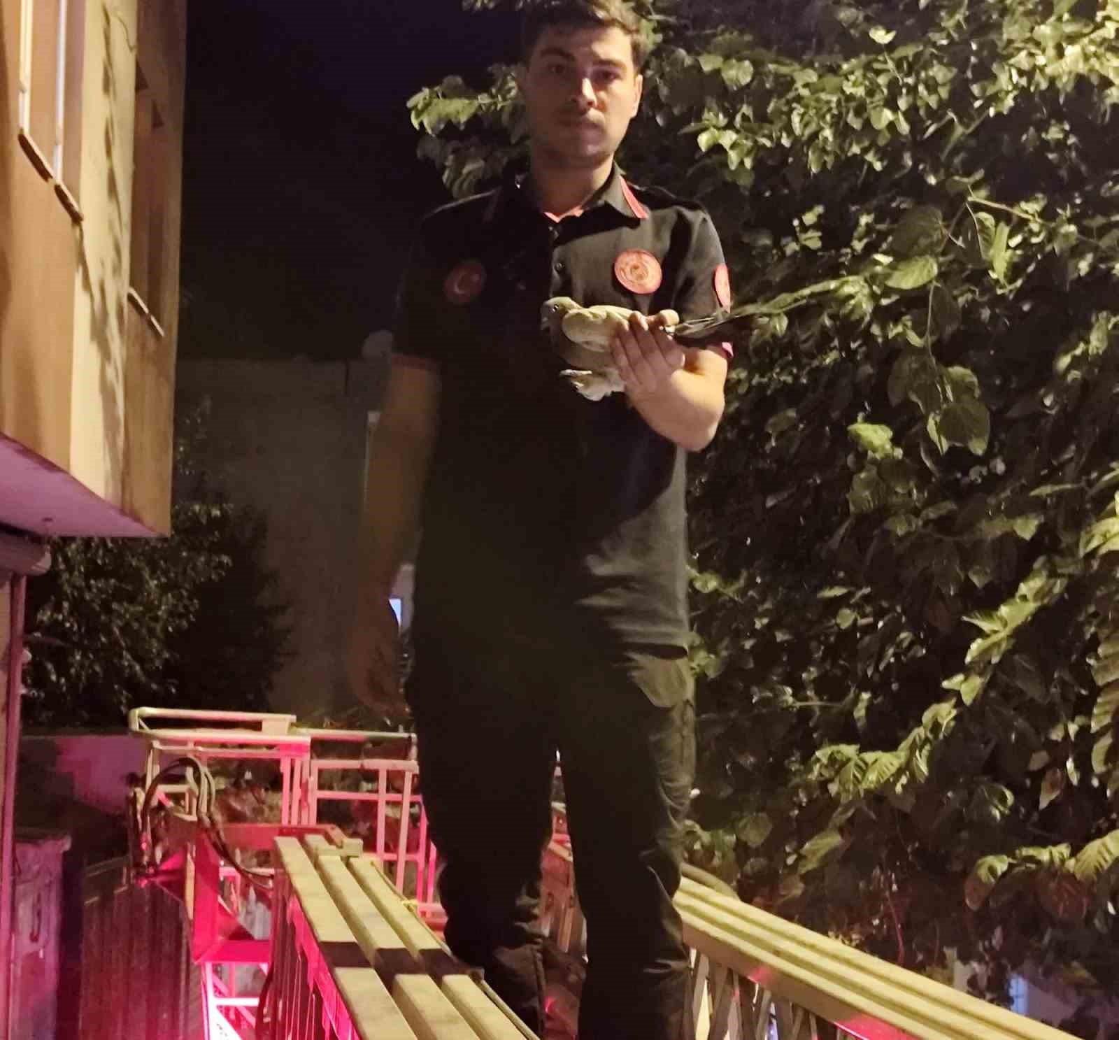 Batman’da ağaçta asılı kalan güvercin itfaiye ekiplerince kurtarıldı