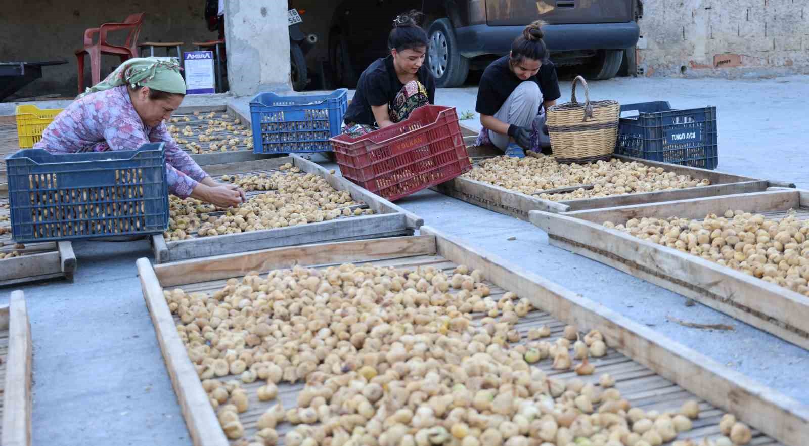 İncir üreticisi tek çatı altında toplanmak için çalışma başlattı