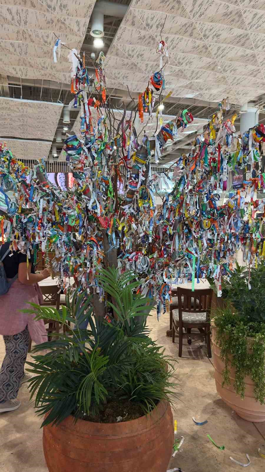 Havalimanındaki dilek ağacı her şey dahil ağacına d&ouml;nd&uuml;
