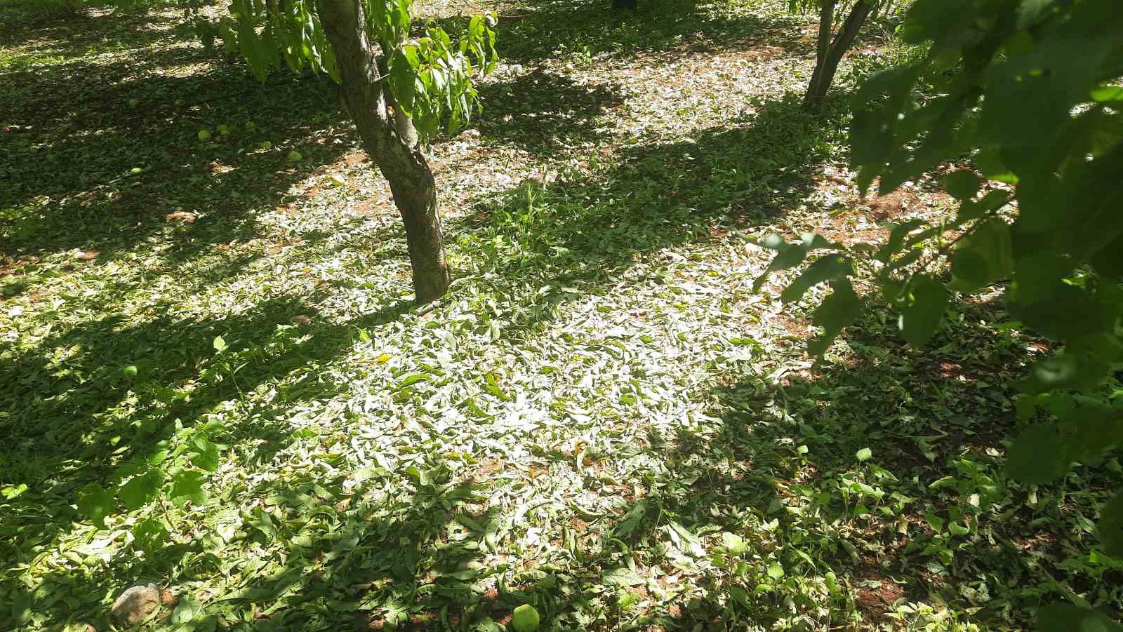 Konya&rsquo;da dolu etkili oldu, bah&ccedil;eler b&uuml;y&uuml;k zarar g&ouml;rd&uuml;
