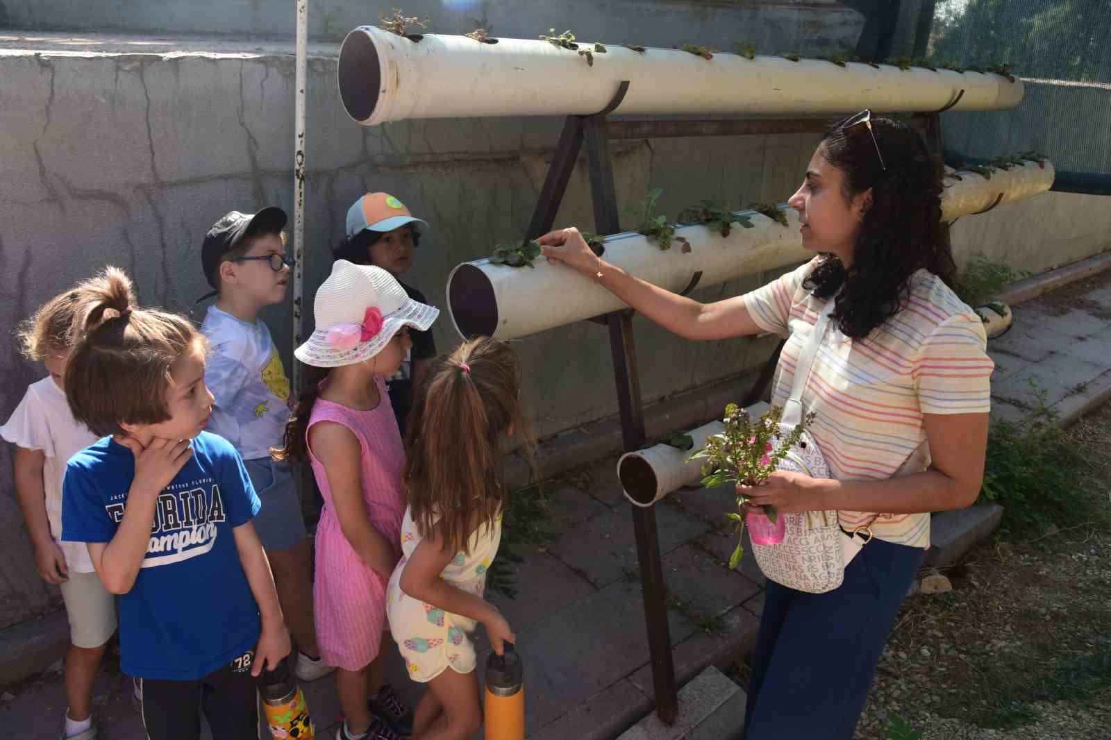 Anadolu &Uuml;niversitesi Yunus Emre Kamp&uuml;s&uuml;&rsquo;nde &ccedil;evre d&uuml;zenlemesi
