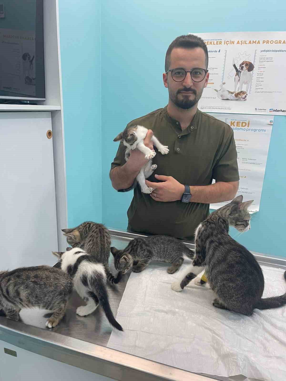 Alanya&rsquo;da hayvana eziyet cezasız kalmadı
