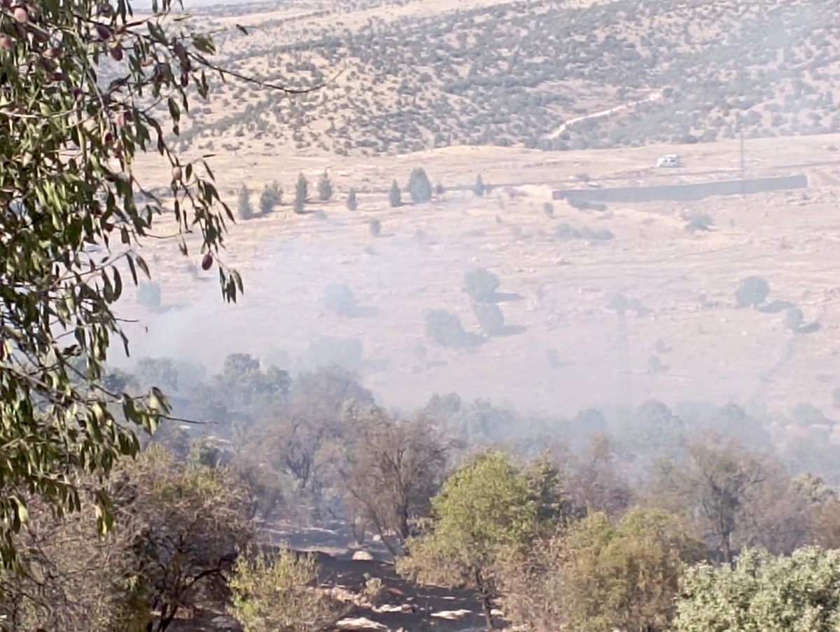 Mardin’de çıkan orman yangını söndürüldü