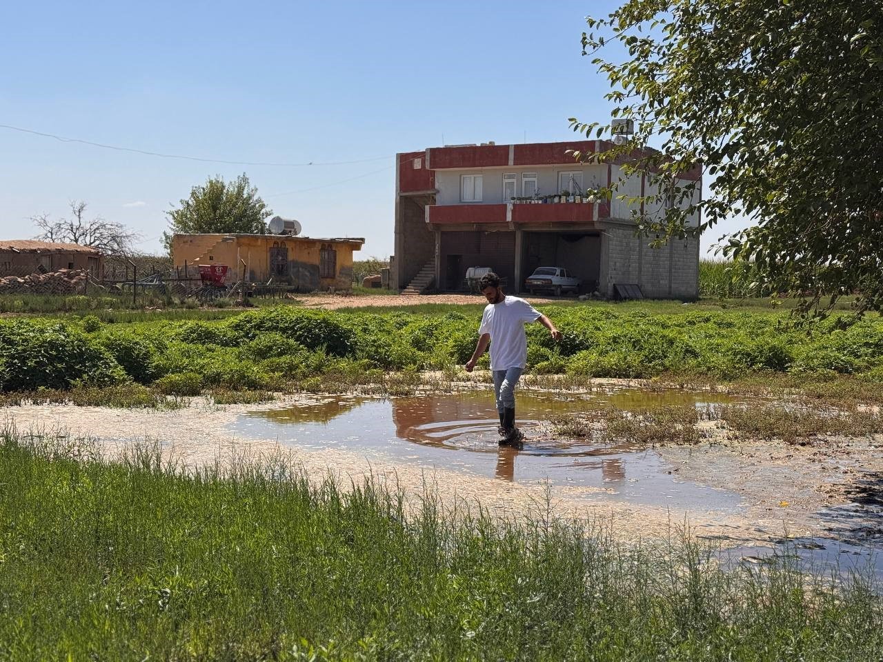 Şanlıurfa’da yükselen taban suyu ev ve tarlaları yuttu