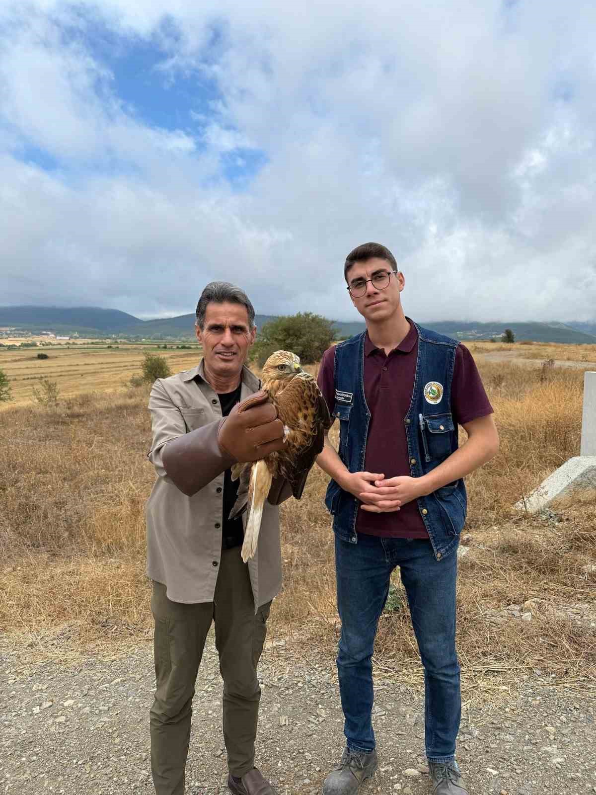 Kastamonu’da yaralı halde bulunan şahin tedavi altına alındı