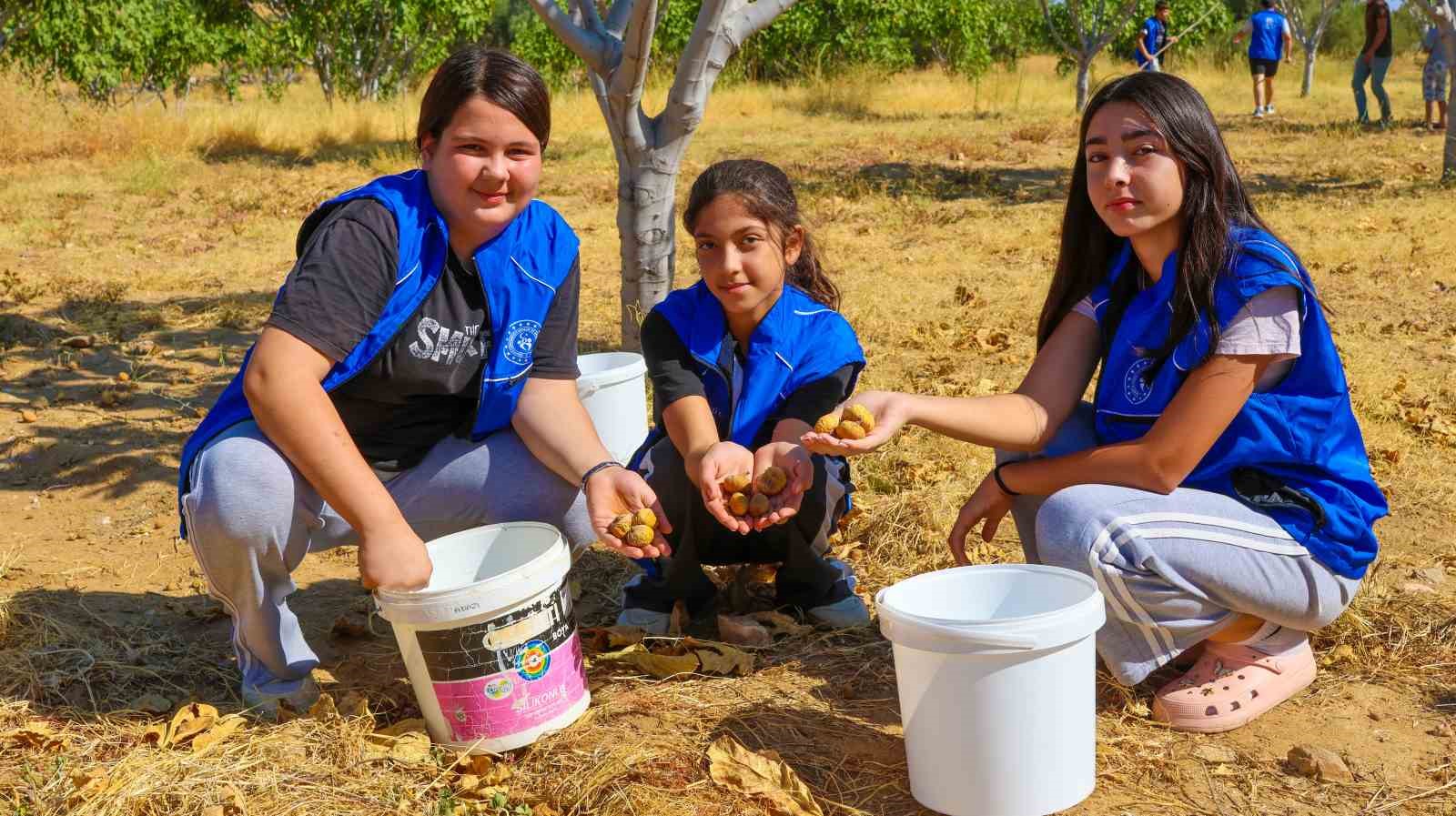 Gönüllü gençler incir üreticisinin alın terine ortak oldu