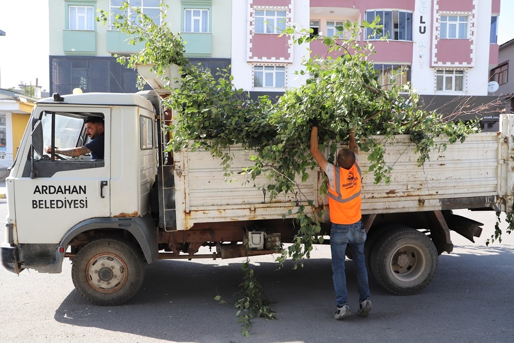 Ardahan Belediyesi’nden ağaç budama faaliyeti