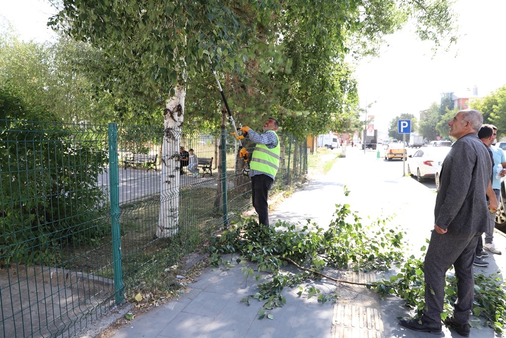 Ardahan Belediyesi&rsquo;nden ağa&ccedil; budama faaliyeti
