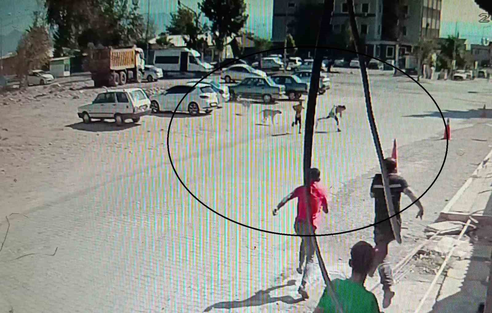 Köpeklerden kaçarken yere yığılan çocukların yardımına vatandaşlar yetişti