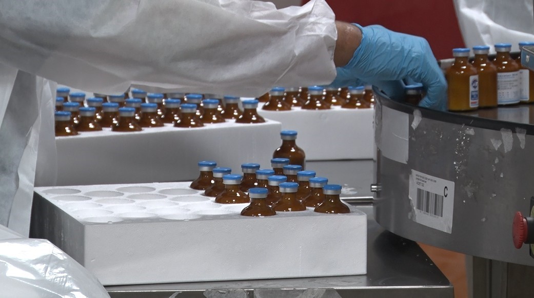 Şap hastalığı ile mücadelede üretilen aşılar hem Türkiye’ye hem de komşu ülkelere deva oluyor