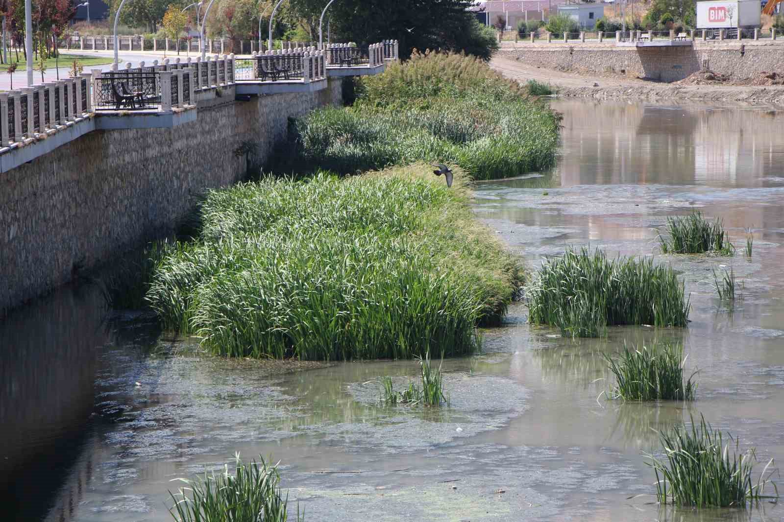 Kuraklık Yeşilırmak’ı vurdu: ‘Yağdır Mevlâm su’
