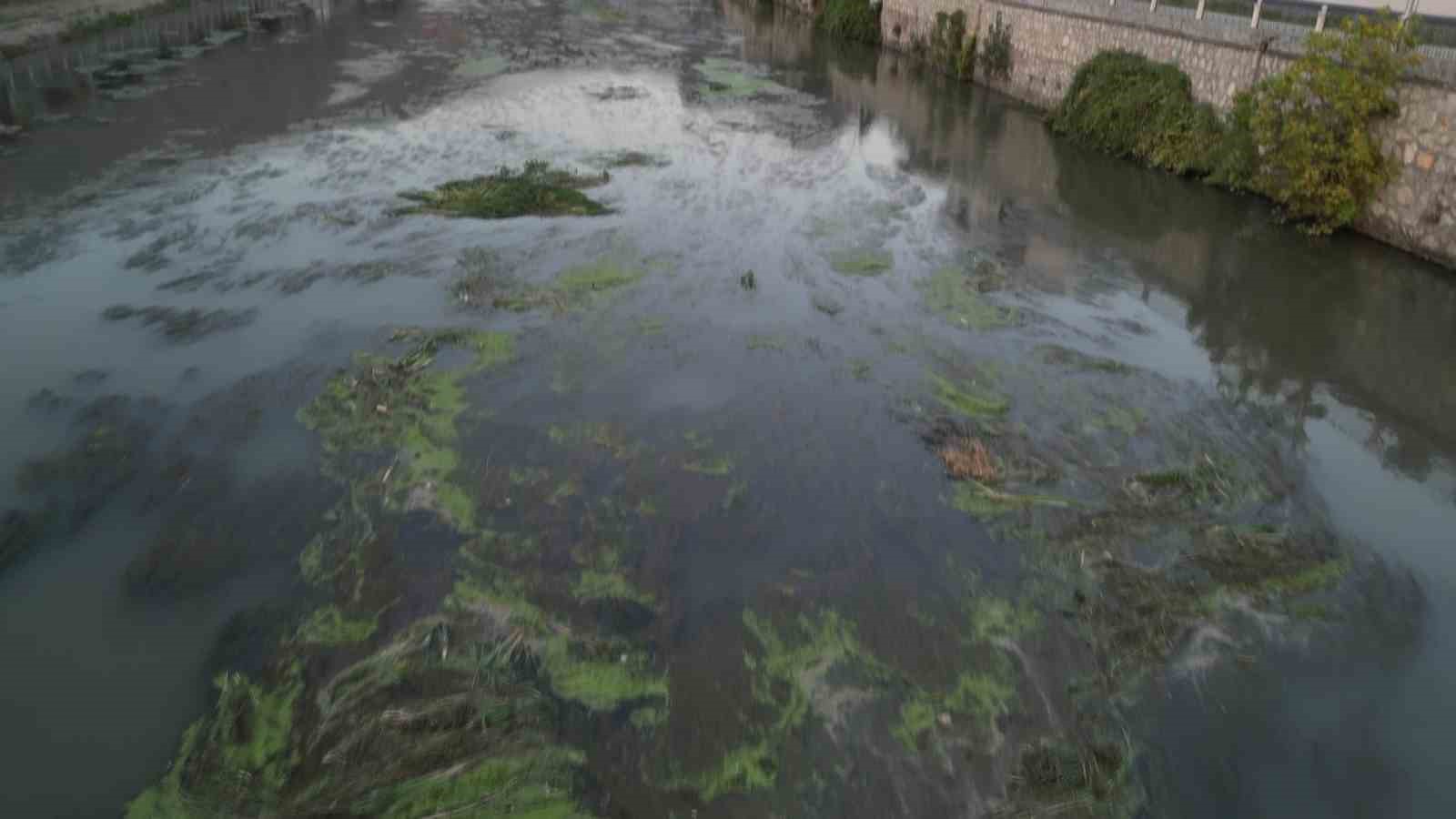 Kuraklık Yeşilırmak’ı vurdu: ‘Yağdır Mevlâm su’
