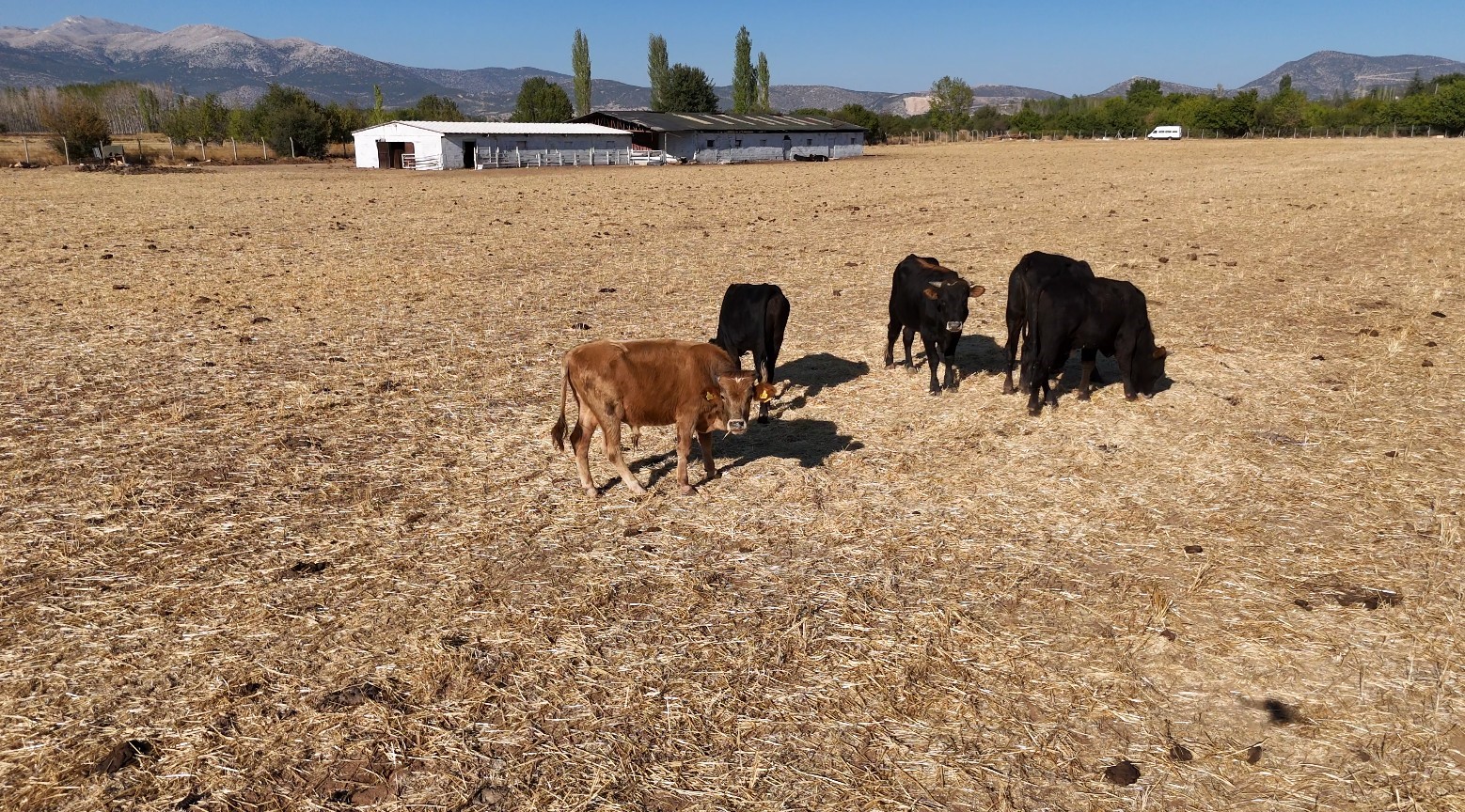 Osmanlı&rsquo;dan esinlenen y&ouml;ntemle 11 yılda 800 bağımlı genci hayata d&ouml;nd&uuml;rd&uuml;ler
