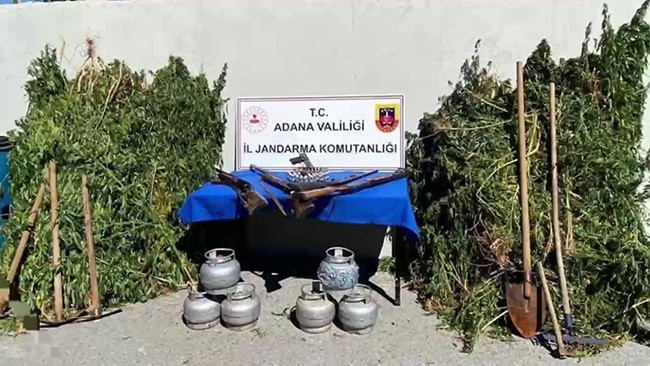 Ormanda uyuşturucu yetiştirmişler: 2 gözaltı