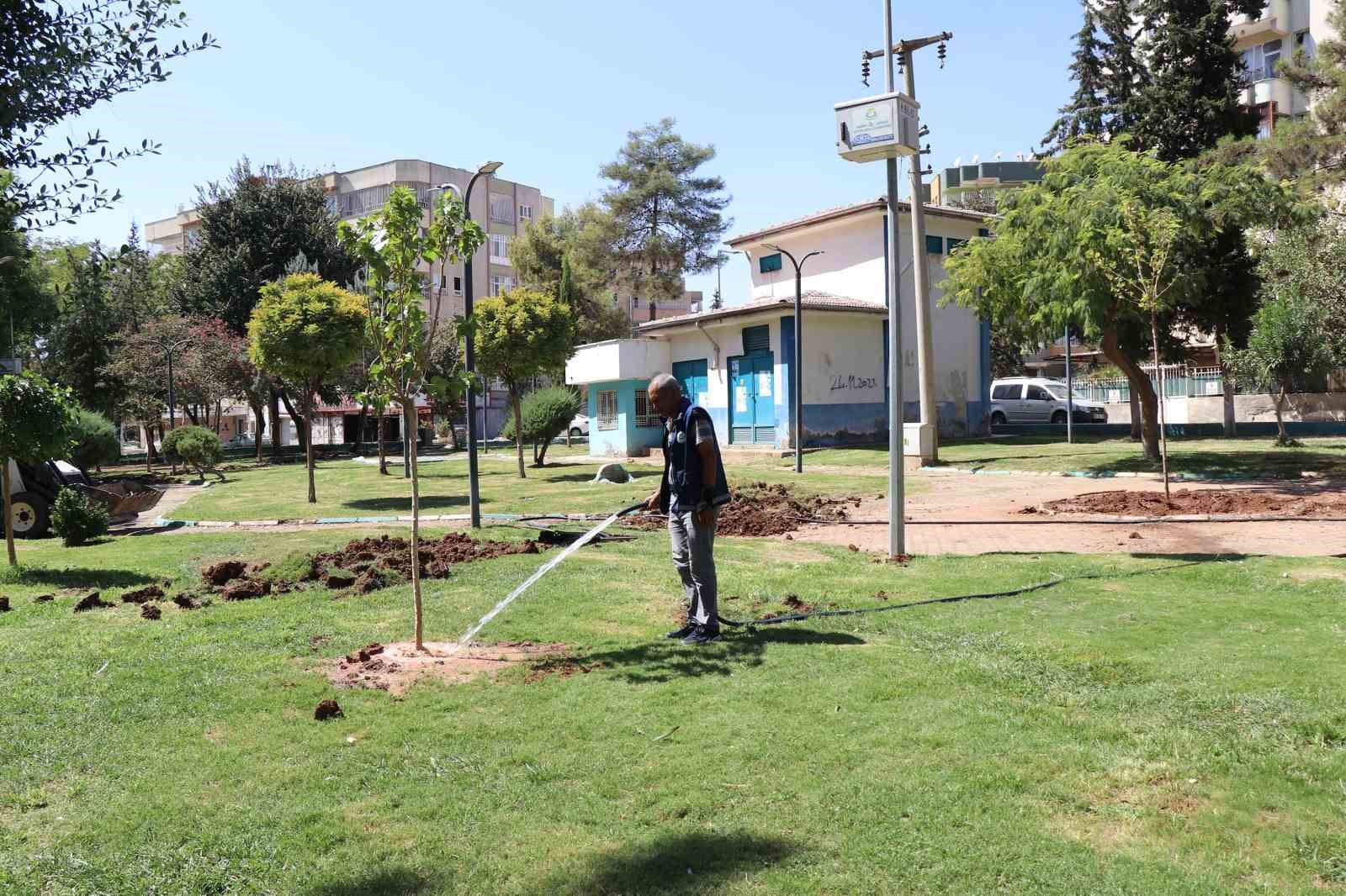 Haliliye&rsquo;de ağa&ccedil;landırma seferberliği devam ediyor
