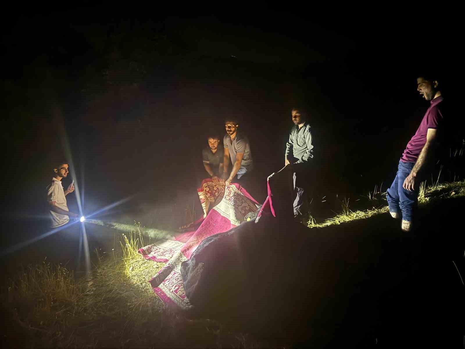 Derecik’te dağda rahatsızlanan inek, halı içerisinde 1 kilometre taşındı