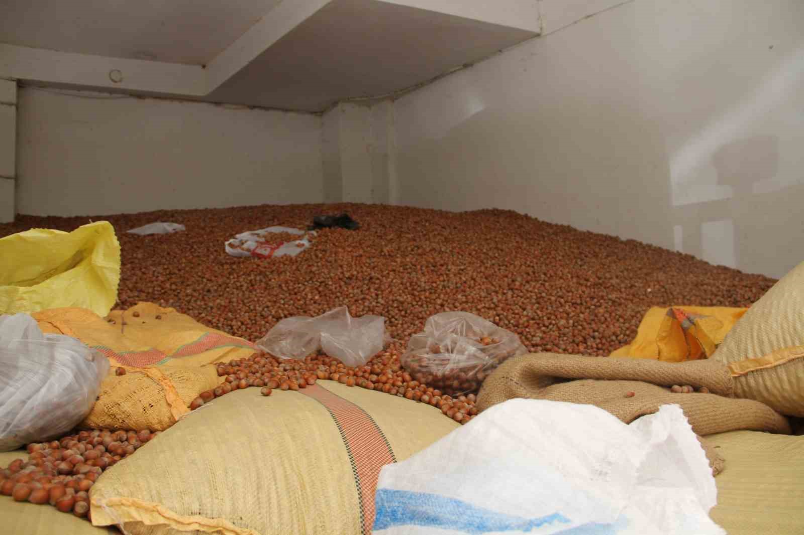 Fındık fiyatları yükselişe geçti: 50 randıman 300 TL