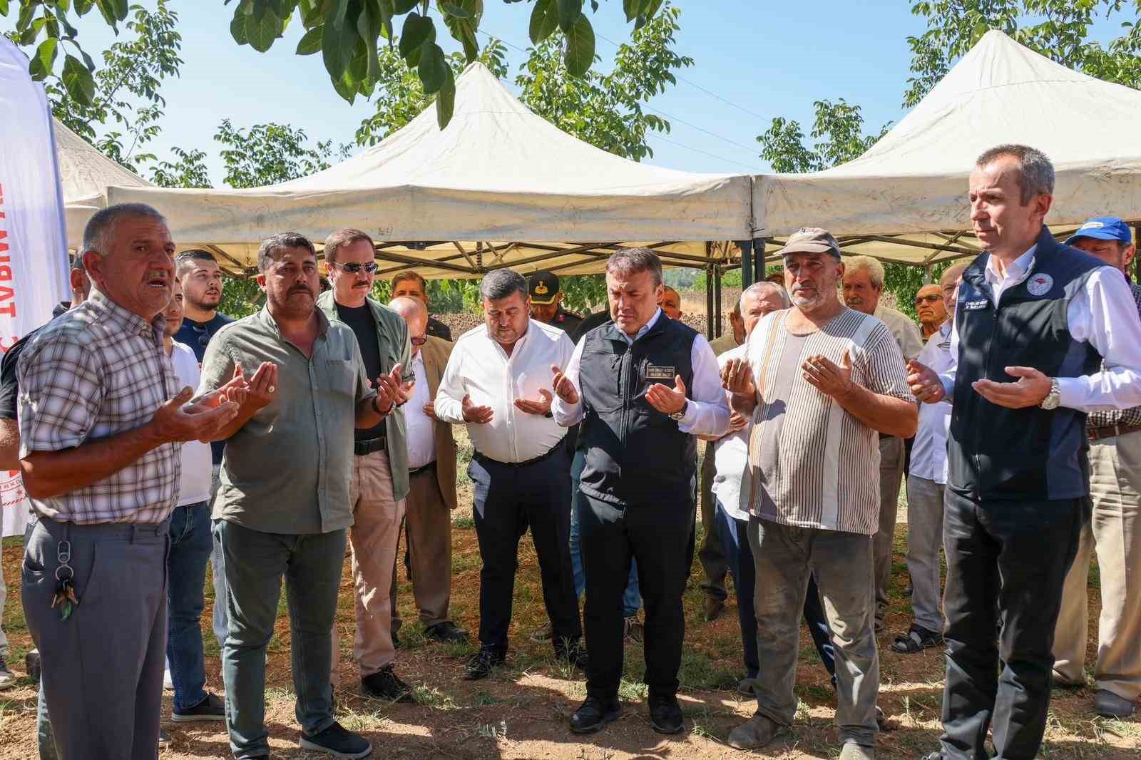 Bilecik&rsquo;te yağlık ay&ccedil;i&ccedil;eği ekim alanı 60 bin dekardan 111 bin dekara y&uuml;kseldi
