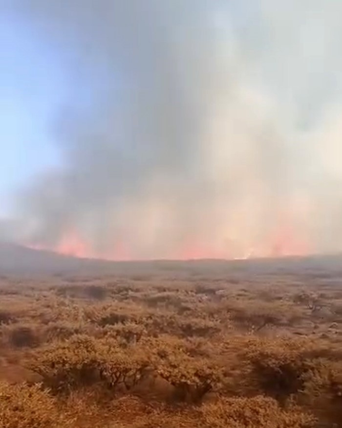 Siverek Karacadağ’da yangın