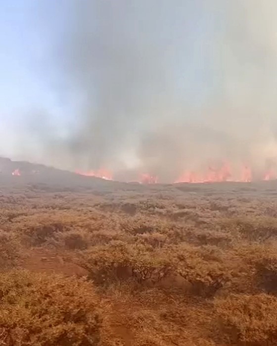 Siverek Karacadağ&rsquo;da yangın
