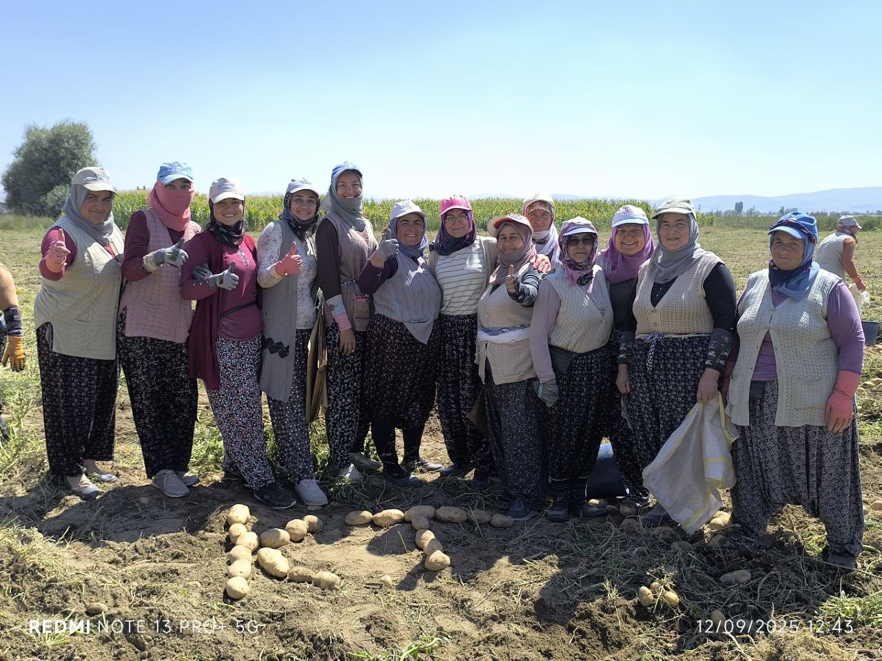 Kışlık patates hasadı başladı, rekolte üreticilerin yüzünü güldürdü