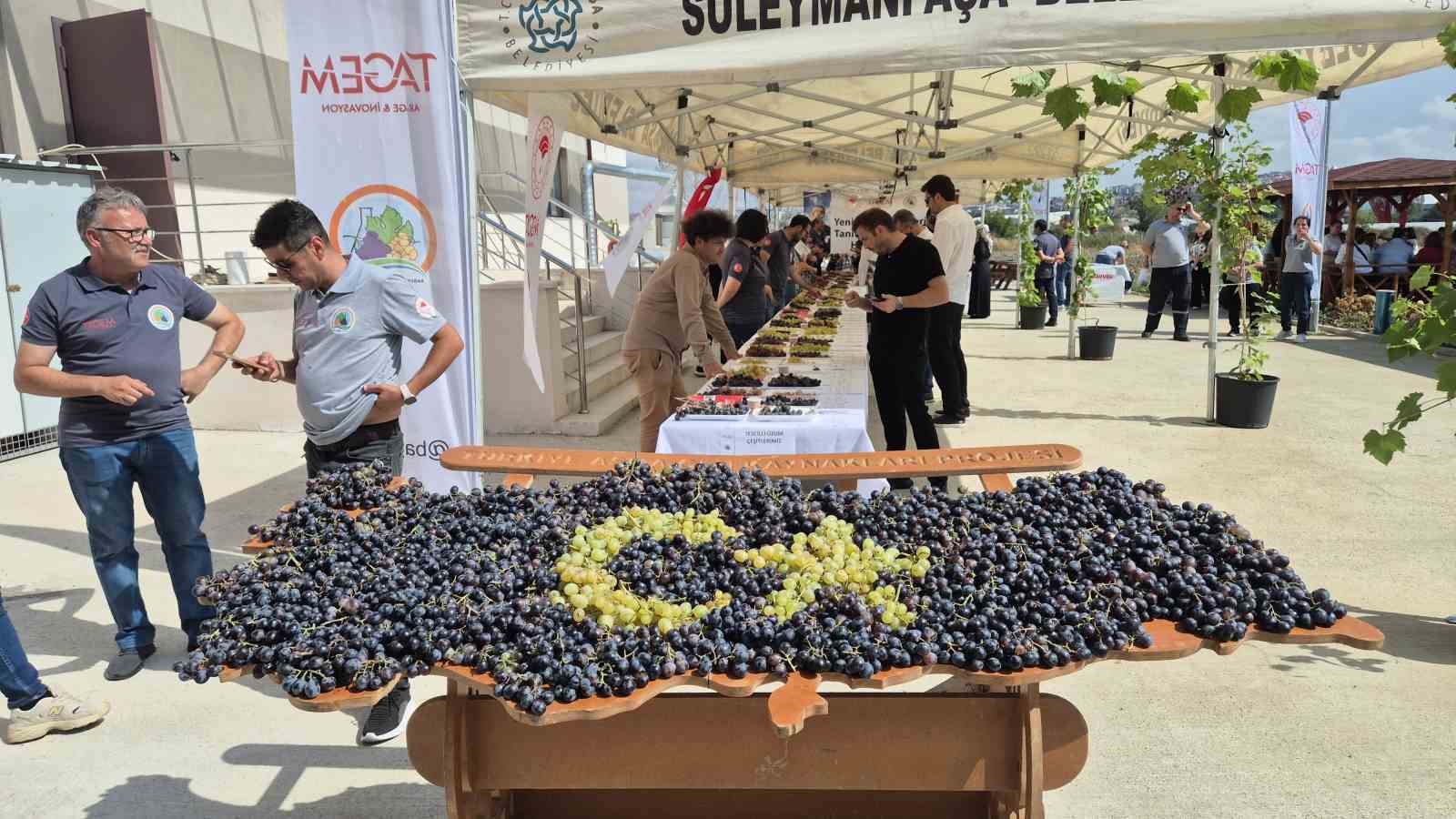 Tekirdağ’da üzüm şöleni: Onlarca yeni çeşit tanıtıldı