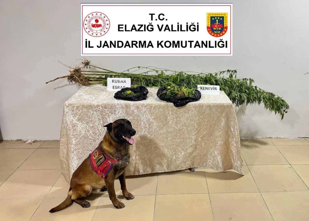 Elazığ’da uyuşturucuyla mücadele