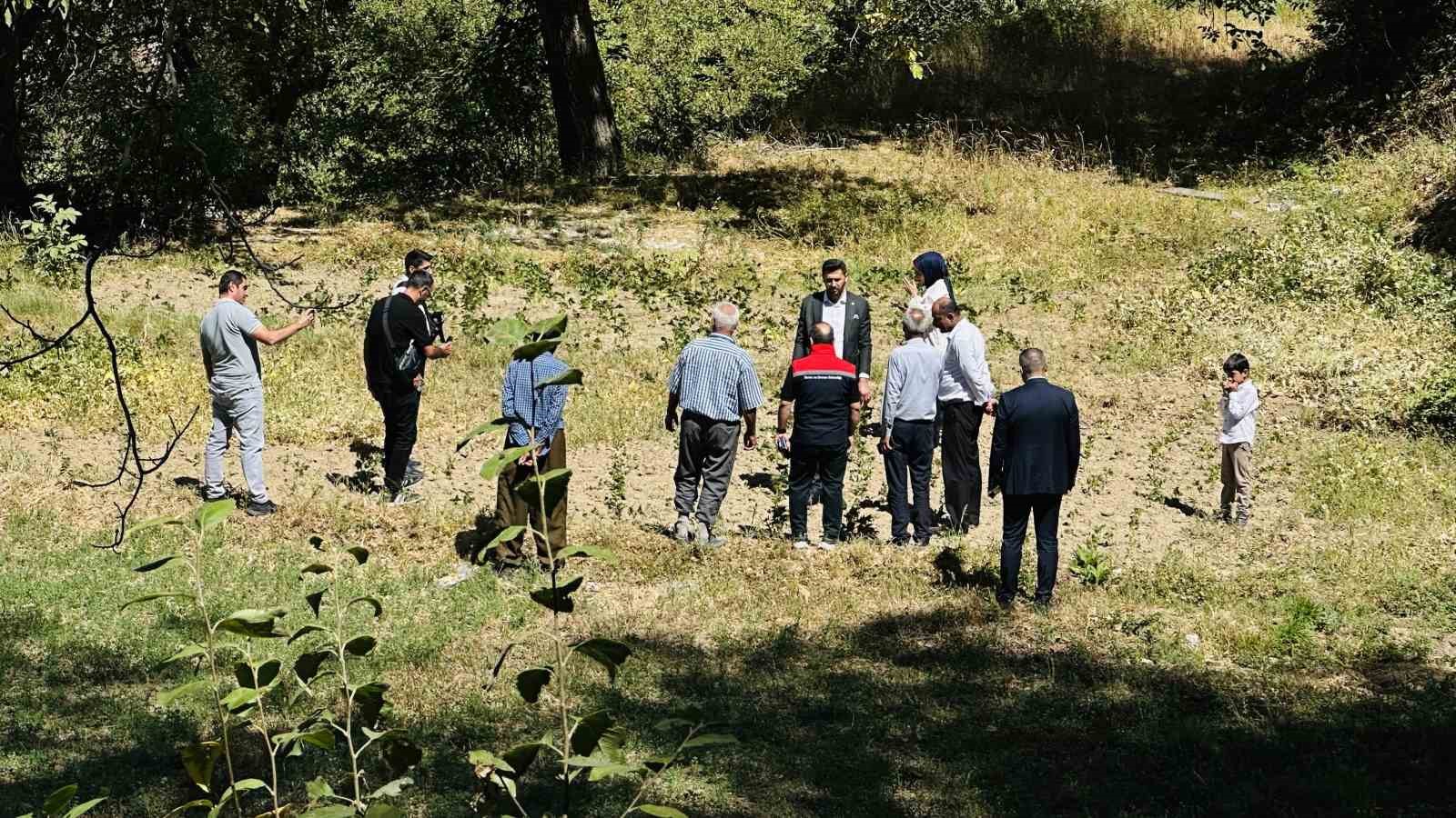 Y&uuml;ksekova&rsquo;da yerli &uuml;z&uuml;m&uuml;n merkezi: Yeşiltaş k&ouml;y&uuml;

