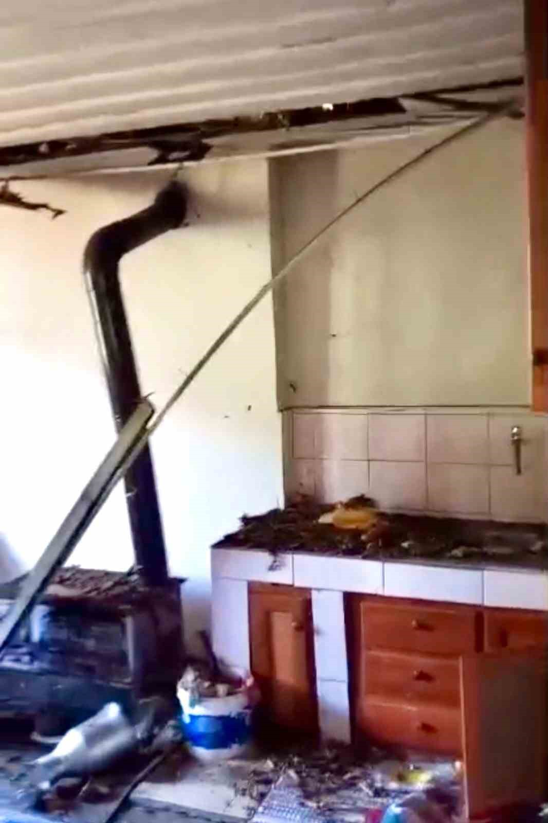 Ayılar yerleşim alanlarına indi, yöre halkı endişeli
