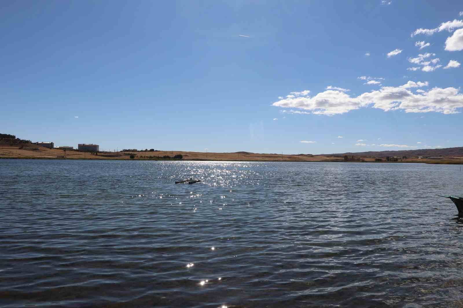 Sivas&rsquo;taki g&ouml;ller yavru balıklarla buluştu
