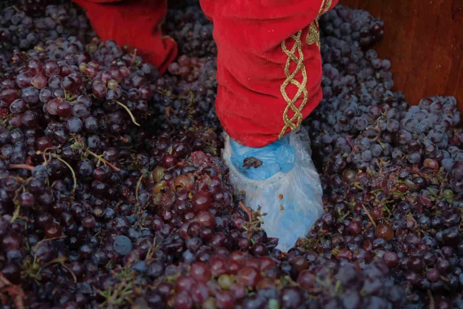 16. Kırklareli Yayla Bolluk, Bereket, Hasat ve Bağbozumu Şenlikleri başladı
