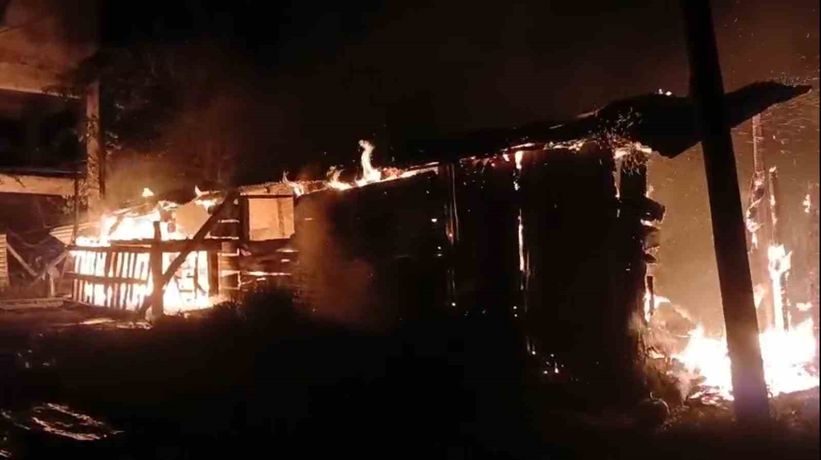 Giresun’da yangında 1 ton fındık kül oldu