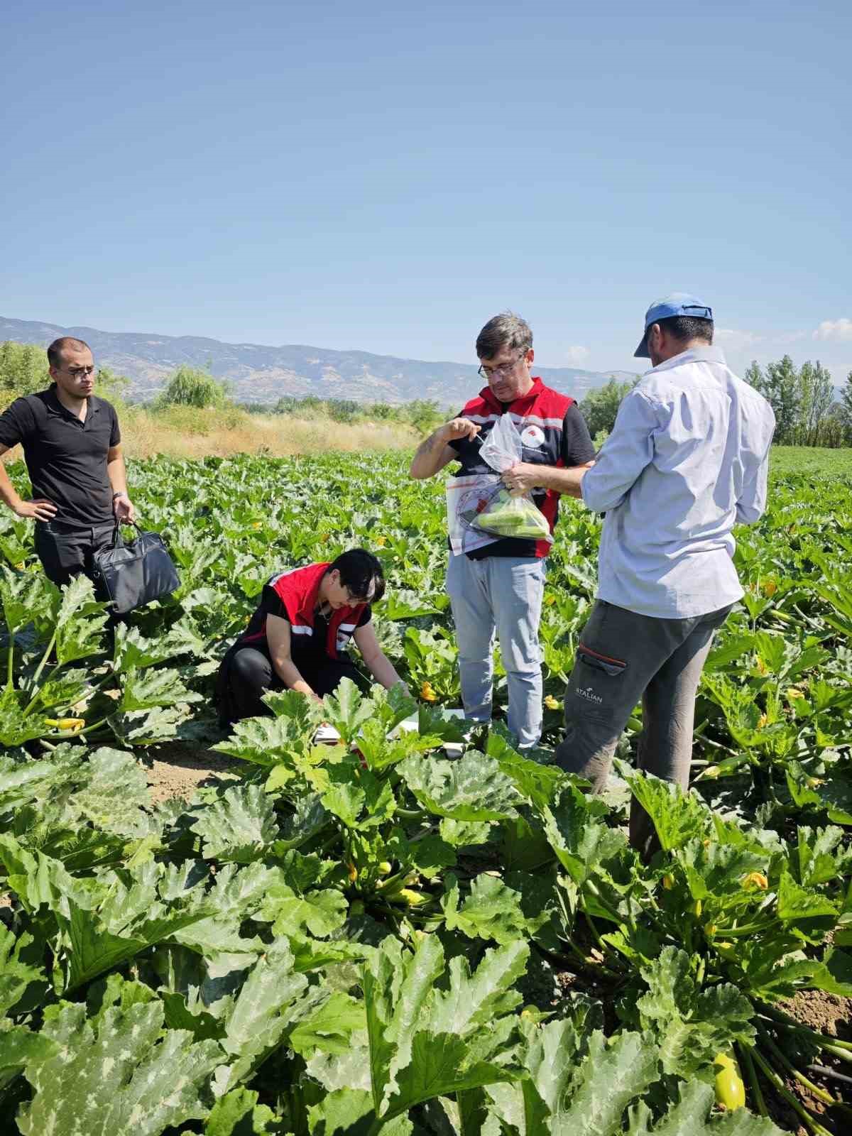 Tokat’ta hasat öncesi pestisit denetimi yapıldı