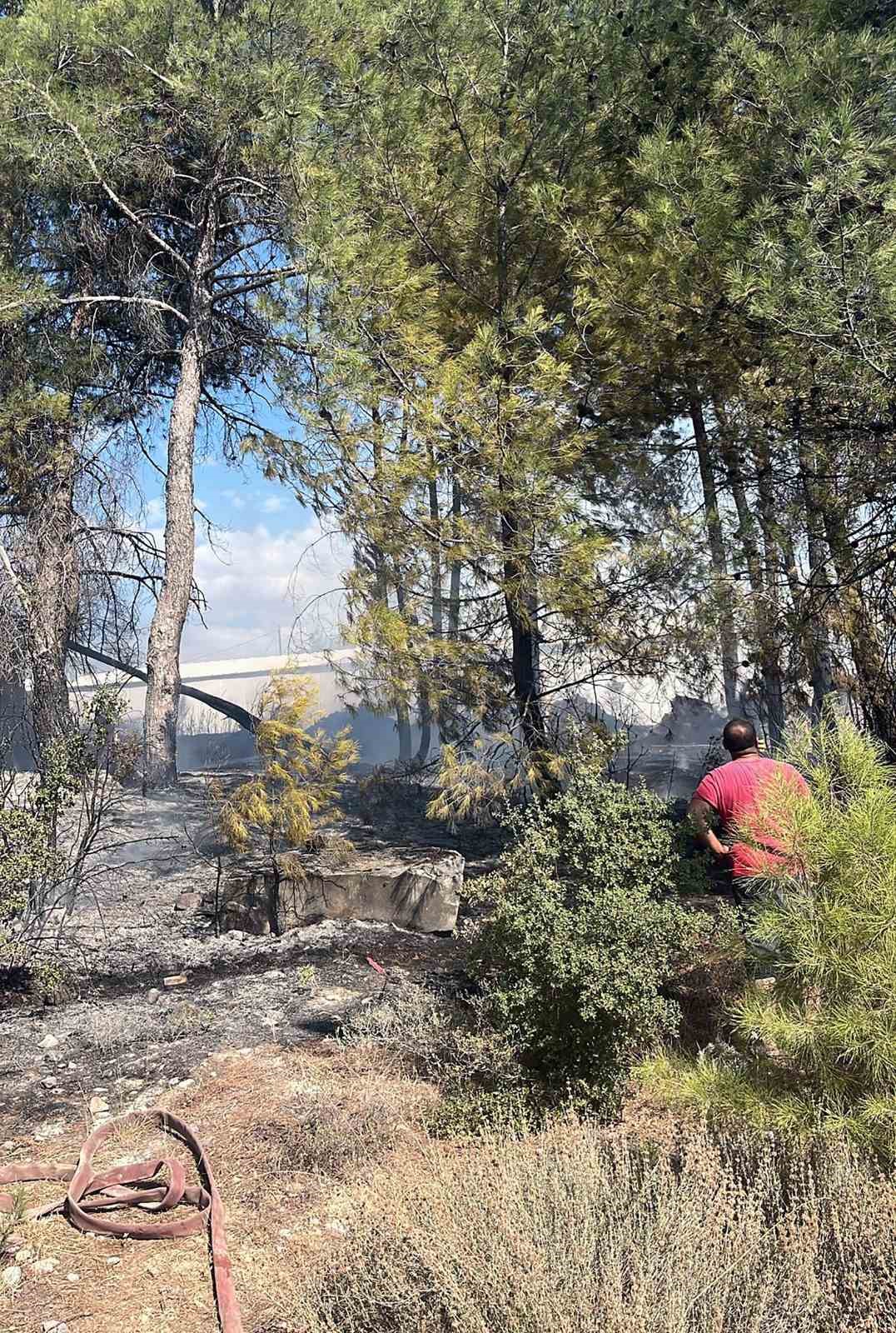 Menteşe’deki yangın kısa sürede söndürüldü