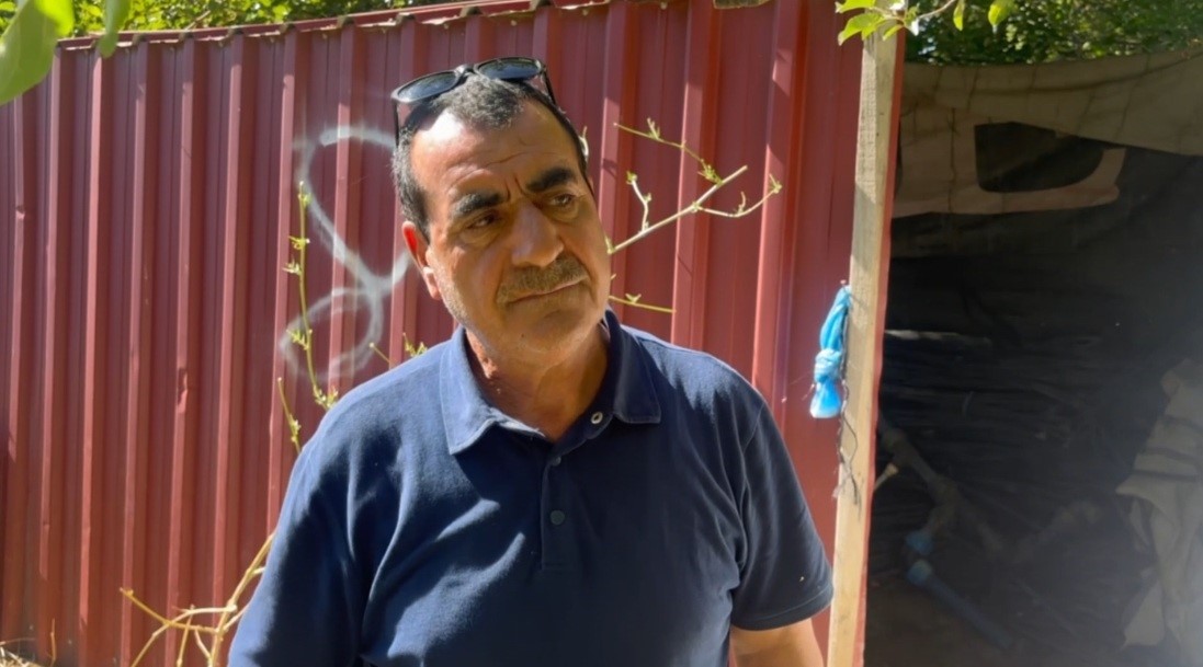 Erzincan&rsquo;da başıboş sokak k&ouml;pekleri 6 kuzuyu telef etti
