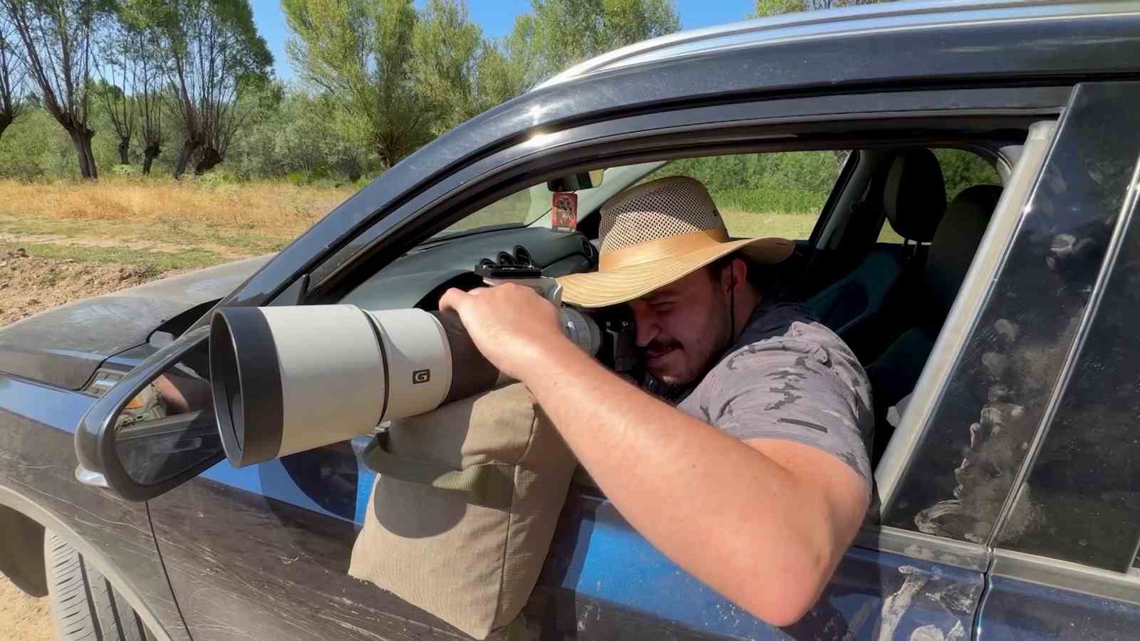 T&uuml;rkiye&rsquo;nin en c&uuml;sseli ve kamufle ustası baykuş t&uuml;r&uuml; Sivas&rsquo;ta g&ouml;r&uuml;nt&uuml;lendi
