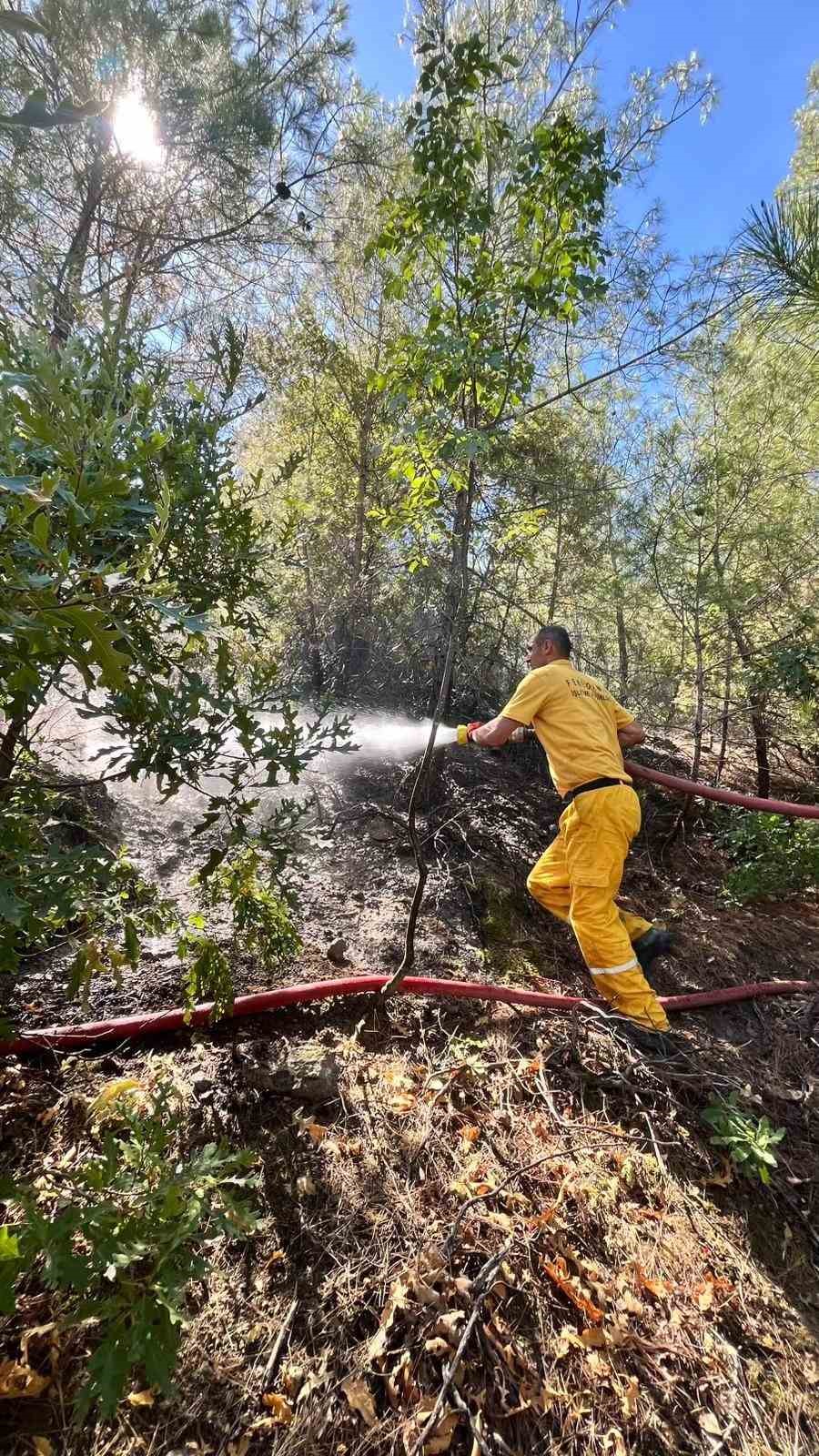 Adana&rsquo;da orman yangını &ccedil;ıktı
