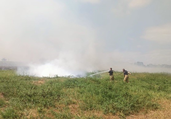 Manyas ve Bandırma arasında sazlık alanda yangın çıktı