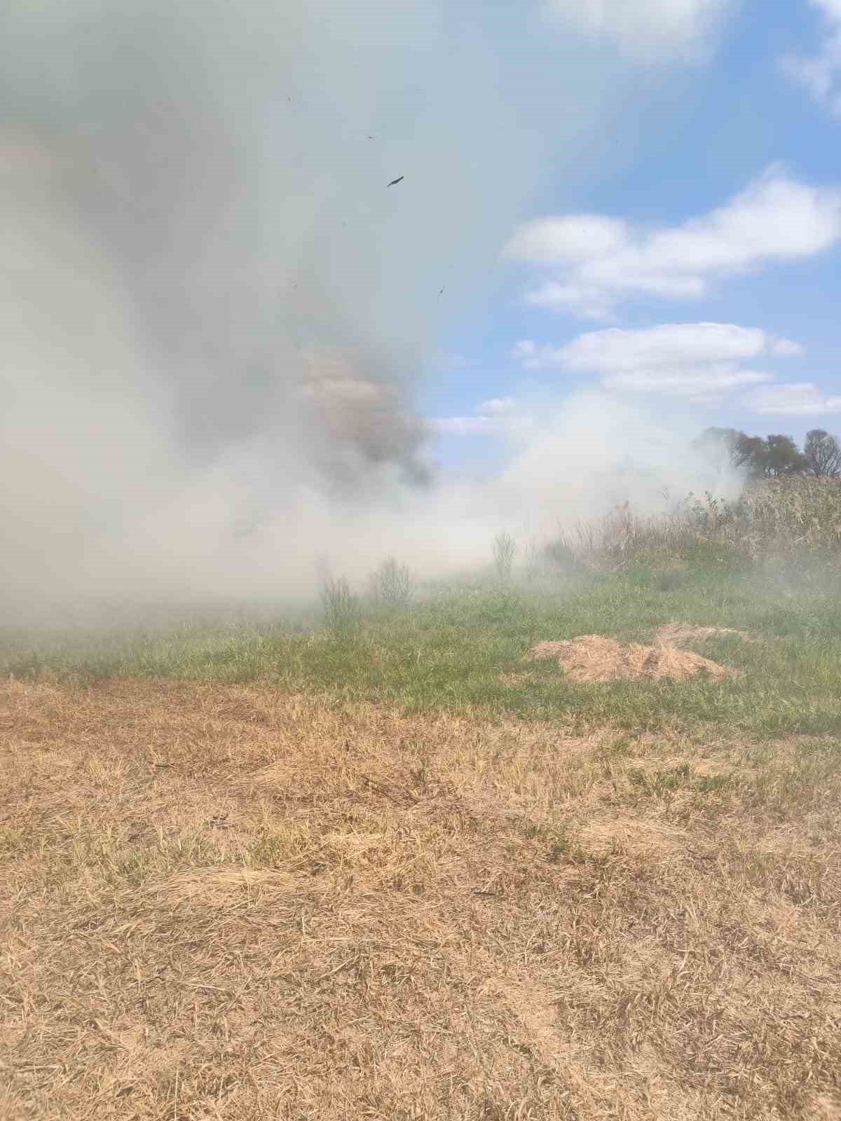 Manyas ve Bandırma arasında sazlık alanda yangın &ccedil;ıktı
