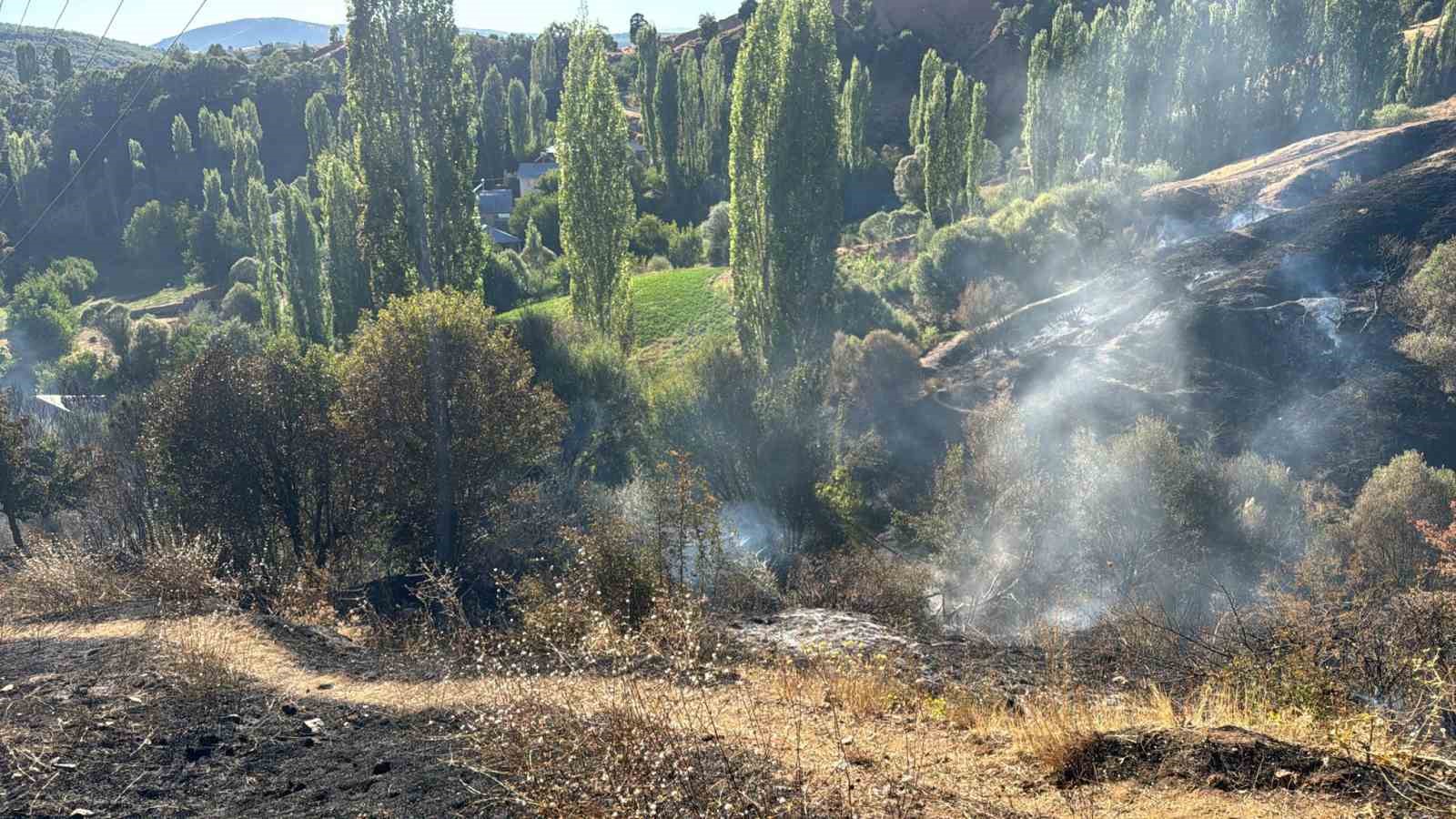 Pütürge’de bahçe yangını korkuttu