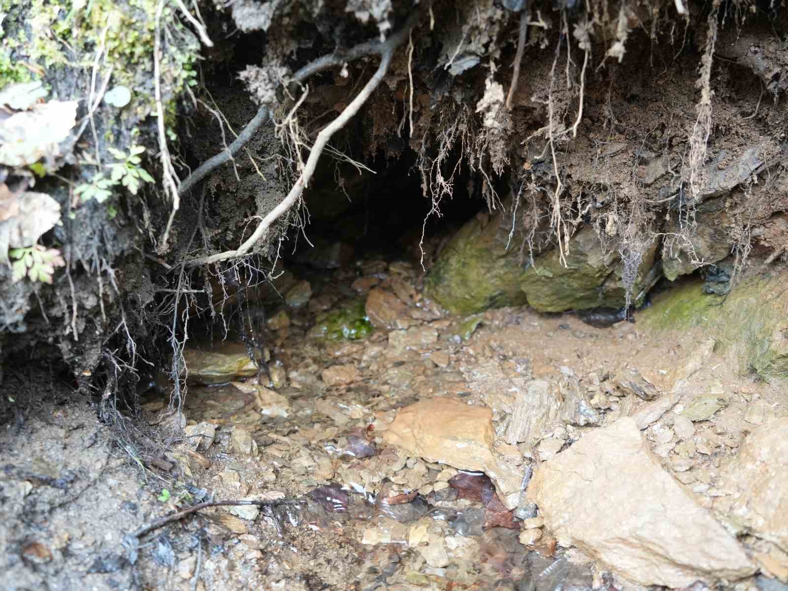 Dua edildiğinde aktığına inanılıyor: Herkes bu sudan şifa arıyor