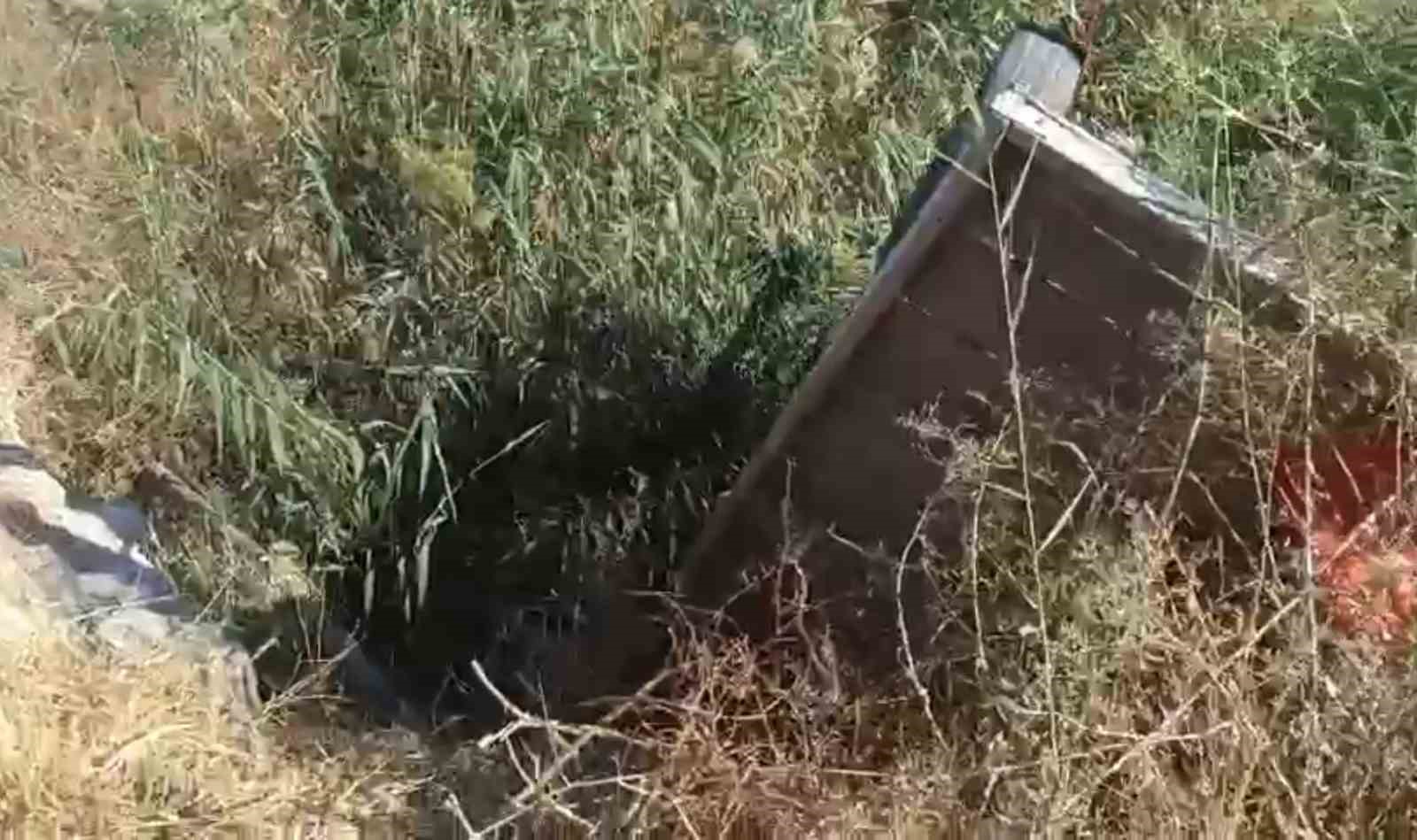 Tahliye kanalına düşen at kurtarıldı